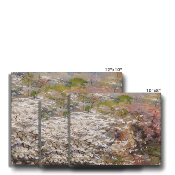 Field of Blossoms Canvas