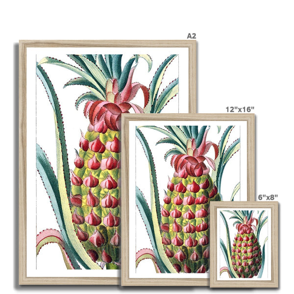 Pineapple Framed Print