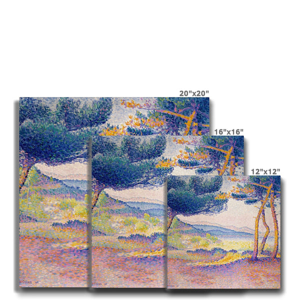 Pines Along the Shore Eco Canvas