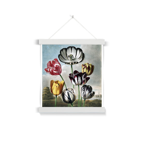 Tulips Fine Art Print with Hanger