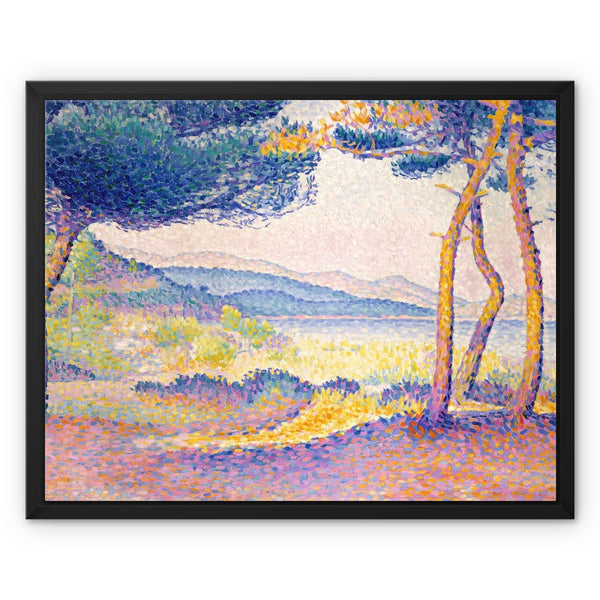 Pines Along the Shore Framed Canvas