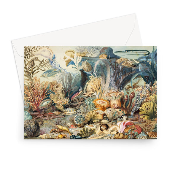 Ocean Life Greeting Card