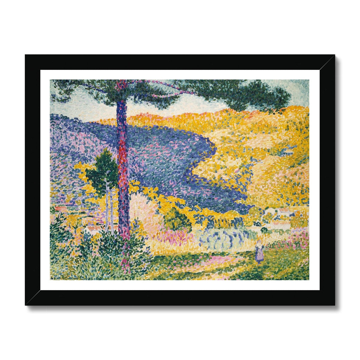 Shade on the Mountain Framed Print