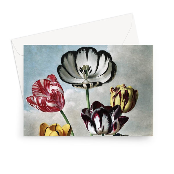 Tulips Greeting Card