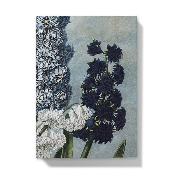 Hyacinths Hardback Journal