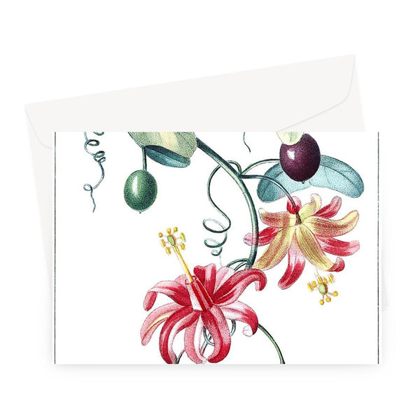 Passionvine Greeting Card