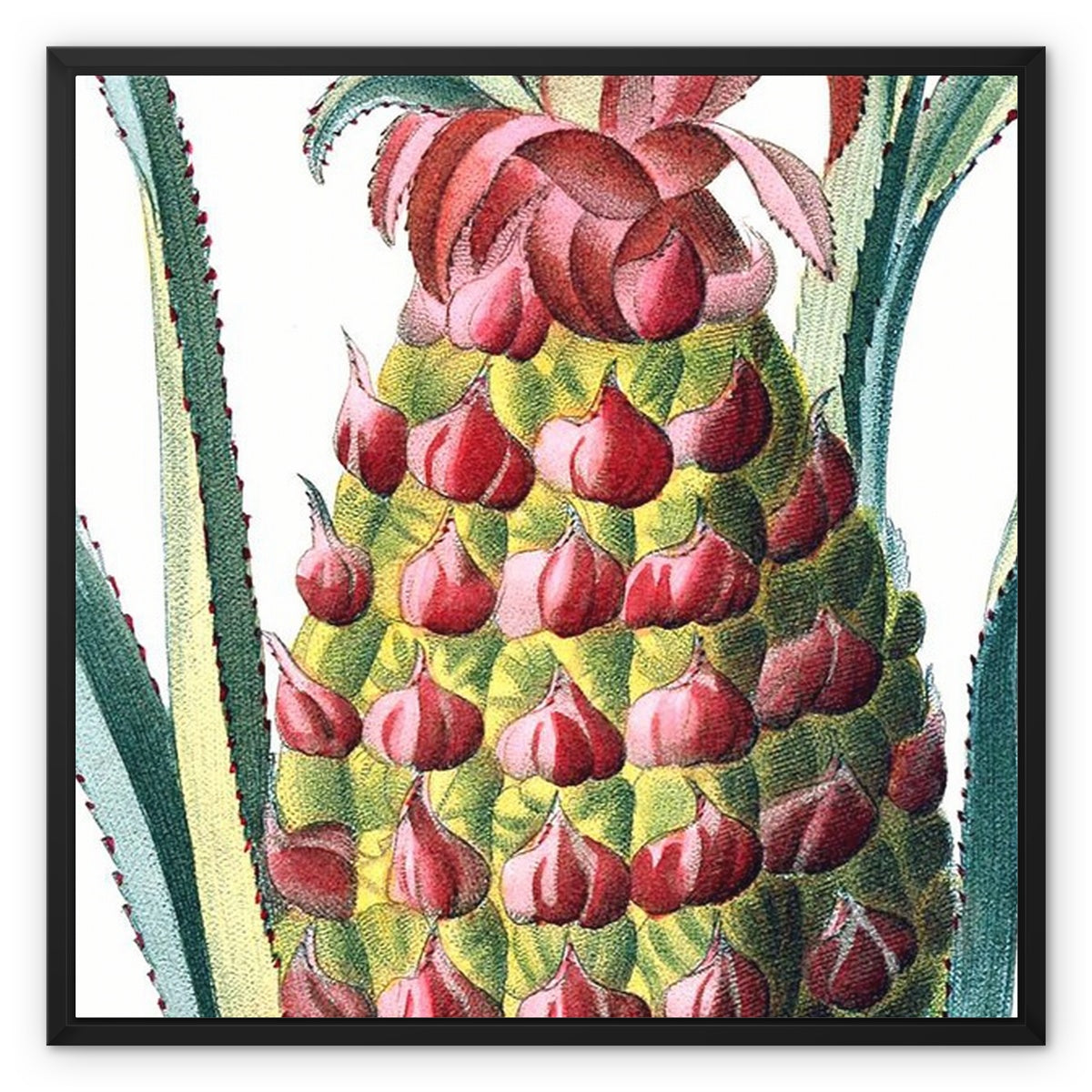 Pineapple Framed Canvas