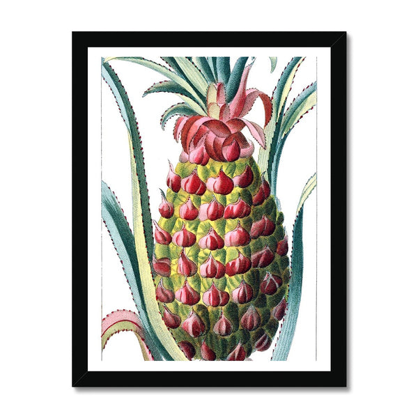 Pineapple Framed Print