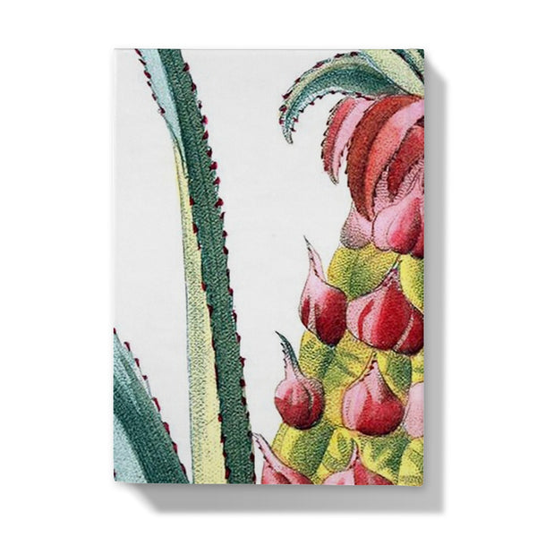 Pineapple Hardback Journal