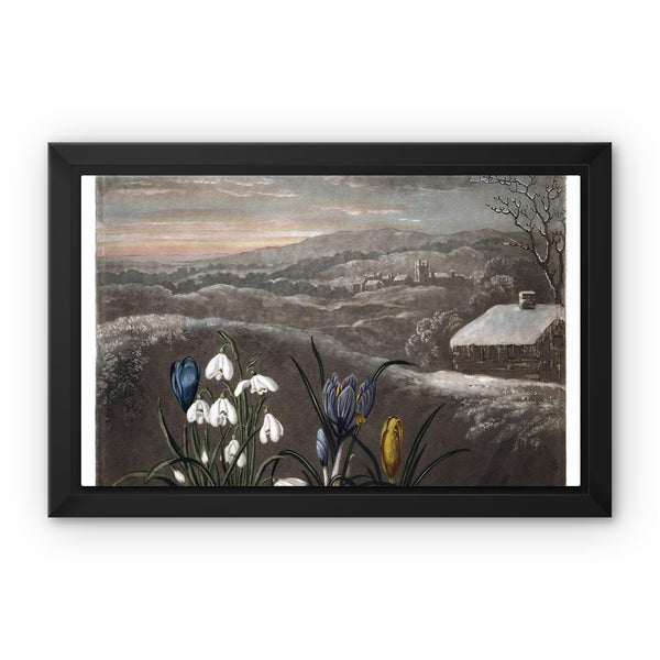 Snowdrops Framed Canvas