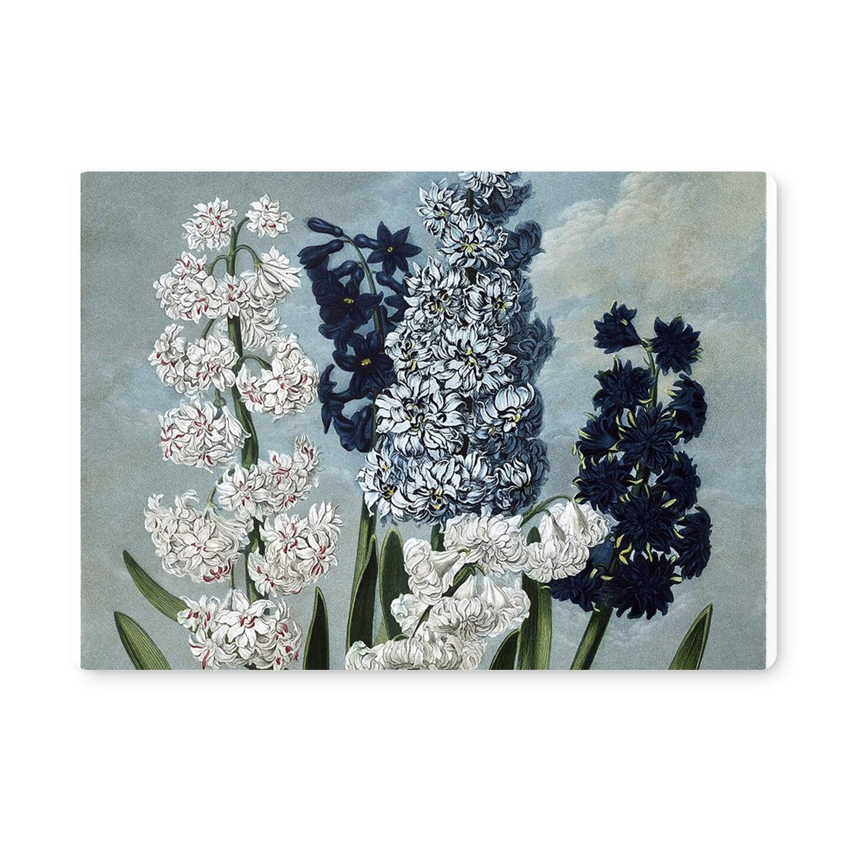 Hyacinths Placemat