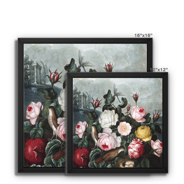 Roses Framed Canvas