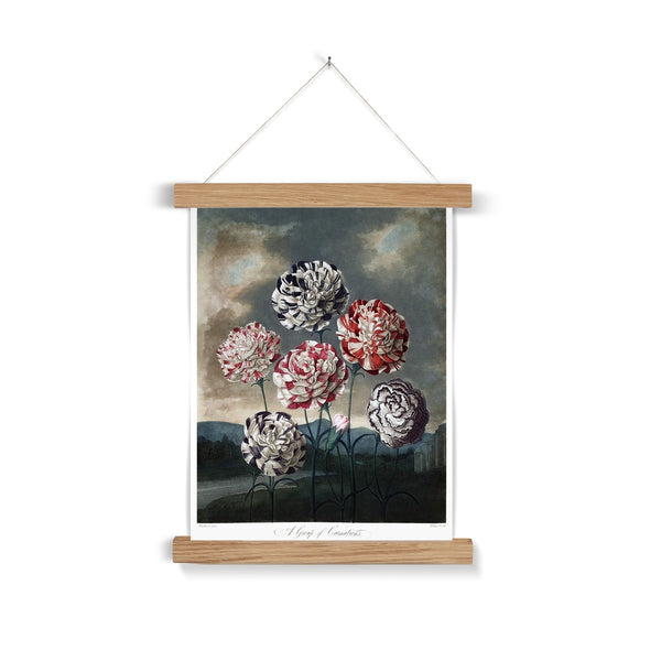 Carnations Fine Art Print with Hanger