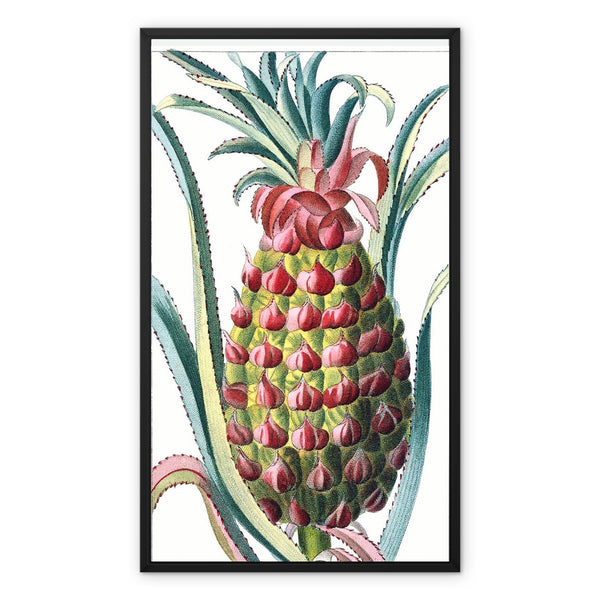 Pineapple Framed Canvas