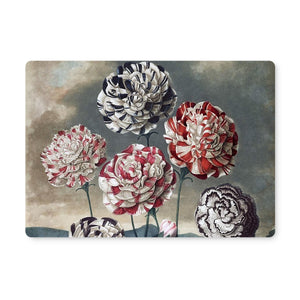 Carnations Placemat