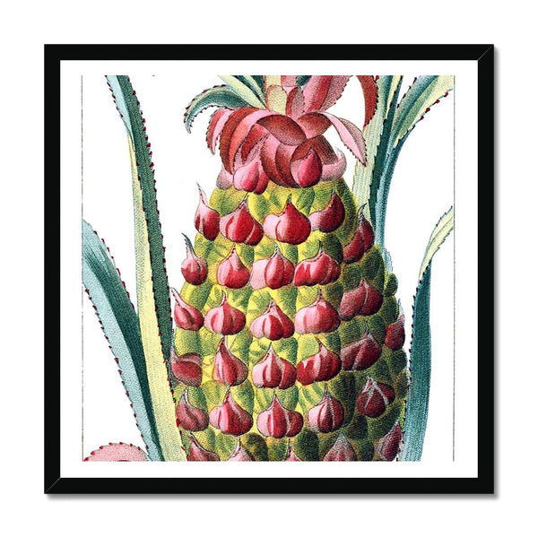 Pineapple Framed Print