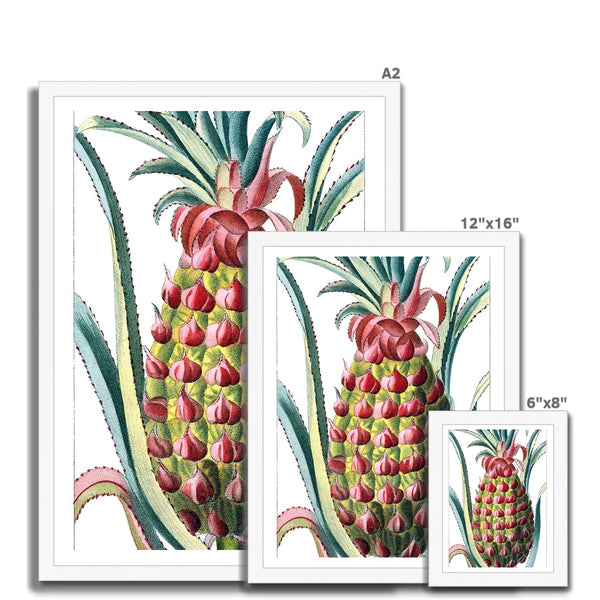 Pineapple Framed Print