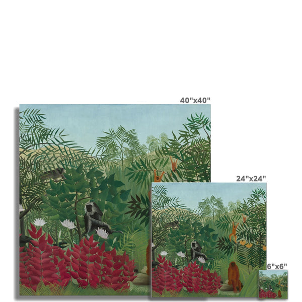 Tropical Forest & Monkeys Wall Art Poster