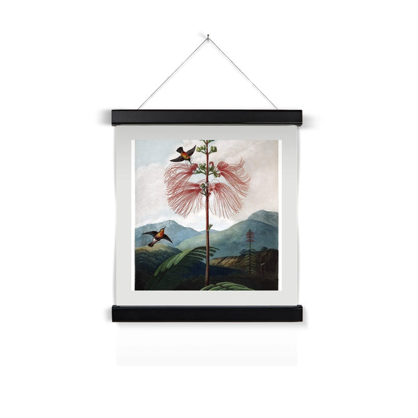 Calliandra Houstoniana Fine Art Print with Hanger